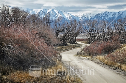 A back road in rural South Island during winter
