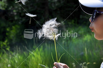 Girl blows a dandelion