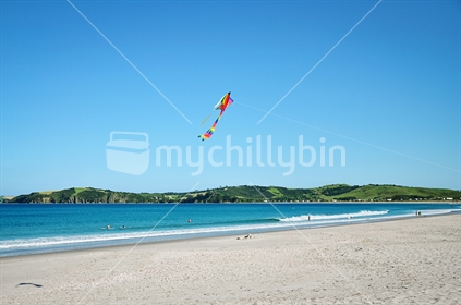 Kite at the beach (selective focus)