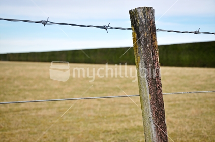 Canterbury plains fence