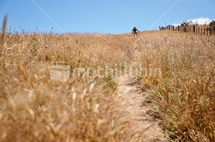 Grassy hill climb