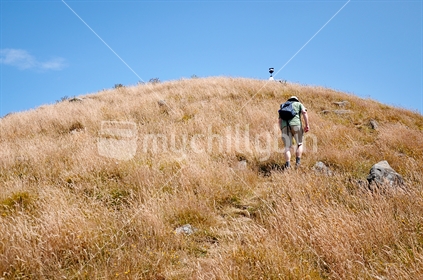Grassy hill climb