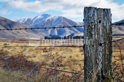 Rustic fence (focus) central Otago / Canterbury Region