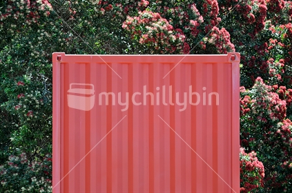 Red container and Pohutukawa