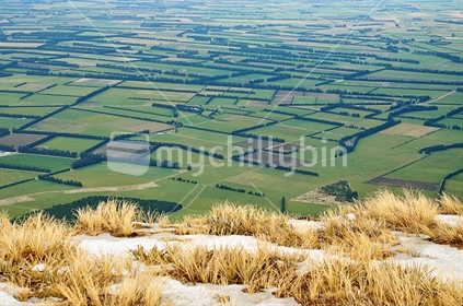 Canterbury Plains (see also Image #mychillybin100468_1128 )