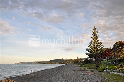 Te Awanga Beach, Hawkes Bay