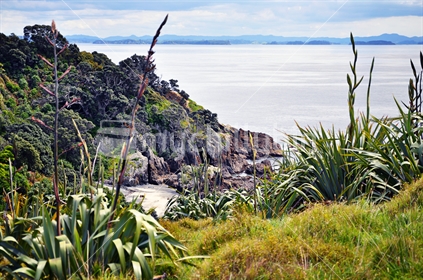 A grassy slope leads down to an secluded New Zealand beach