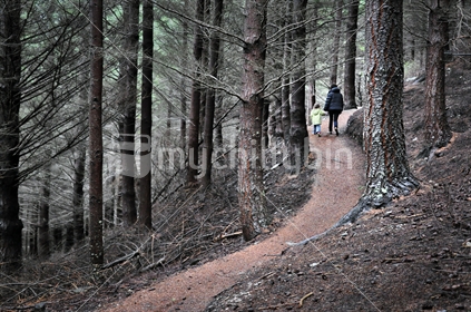Mum and daughter walk through a New Zealand pine forest