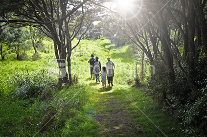 A family walk across farmland that is regenerating back into native bush at Tawharanui Regional Park near Auckland, New Zealand