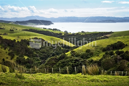 Looking across farmland towards the coast, rural Northland, New Zealand
