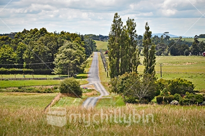 Rural back road on a Summer's day (selective focus)
