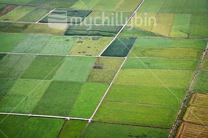 Aerial view of farmland and a patchwork of fields.
