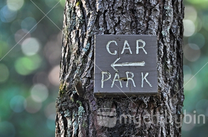 Rustic Car Park sign nailed to a pine tree (selective focus) with bokeh background