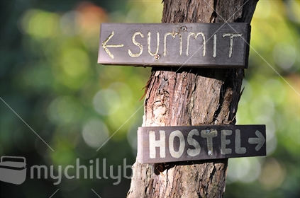 Rustic Summit and Hostel signs nailed to a tree (selective focus) with bokeh background