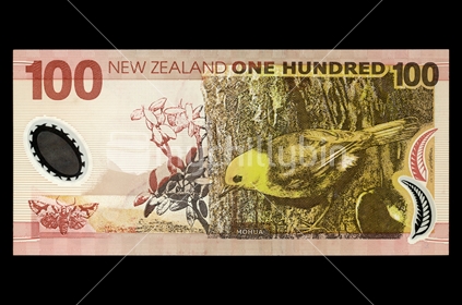 New Zealand one hundred dollar note - back. Featuring Mohua. 
(Shot at the same relative scale as other notes from photographers series)
Note: Please view approved reproduction details of NZ banknote full images at: http://www.rbnz.govt.nz/notes_and_coins/issuing_or_reproducing/