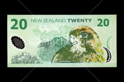 New Zealand twenty dollar note - back. Featuring Karearea. 
(Shot at the same relative scale as other notes from photographers series)
Note: Please view approved reproduction details of NZ banknote full images at: http://www.rbnz.govt.nz/notes_and_coins/issuing_or_reproducing/