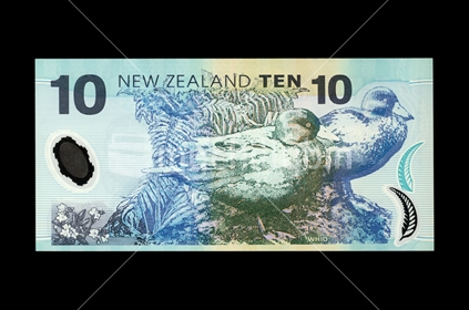 New Zealand ten dollar note - back. Featuring Whio. 
(Shot at the same relative scale as other notes from photographer's series)
Note: Please view approved reproduction details of NZ banknote full images at: http://www.rbnz.govt.nz/notes_and_coins/issuing_or_reproducing/