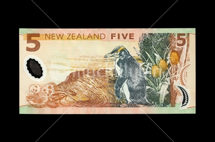 New Zealand five dollar note - back. Featuring Hoiho. 
(Shot at the same relative scale as other notes from photographer's series)
Note: Please view approved reproduction details of NZ banknote full images at: http://www.rbnz.govt.nz/notes_and_coins/issuing_or_reproducing/