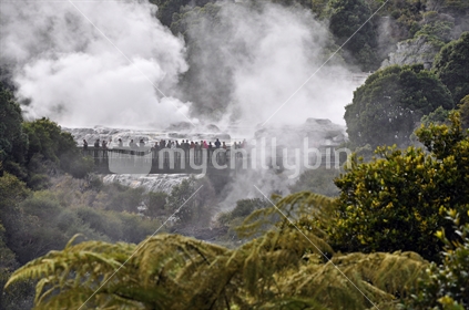 Tourists amidst clouds of steam view the geothermal attractions in Rotorua, North Island, New Zealand