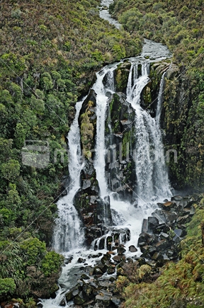 Waipunga falls between Napier and Taupo, North Island, New Zealand
