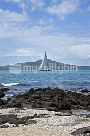 Yacht sails in front of Rangitoto island, Auckland Harbour