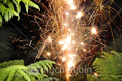 Fireworks in a New Zealand bush setting (motion blur)