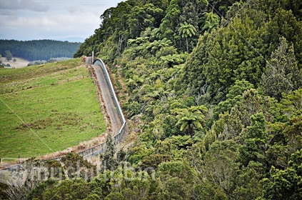 The predator-proof fence protecting Maungatautari Ecological Island conservation reserve