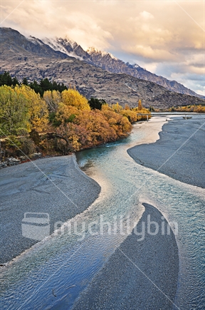 Autumn colours along the banks of the Shotover River with The Remarkables in the background (selective focus)