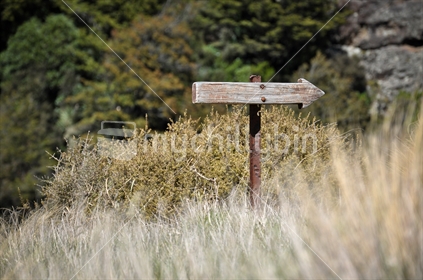 A rustic (blank) arrow directional sign on a high country walk