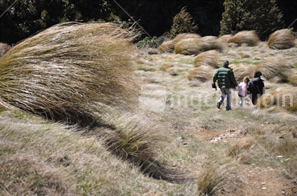 A family on a high country walk struggle with a strong wind (some motion blur)