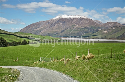 Mount Hutt viewed across lush farmland, Canterbury, South Island (selective focus)