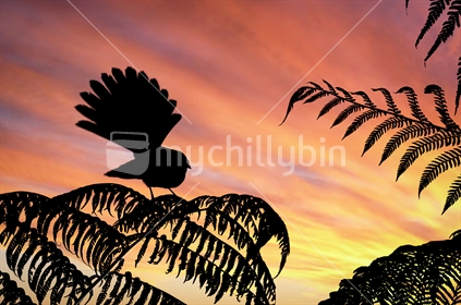 Tree ferns and Fantail silhouetted against a sunset sky (selective focus and some nice motion blur of tail feathers)