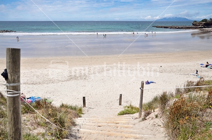 Classic kiwi beach scene at Tawharanui Regional Park (selective focus) See also Image #100468_489 