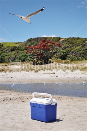 A Chilly Bin on the beach