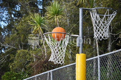Netball hoop with native bush background (selective focus and some motion blur)