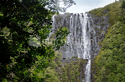 Wairere Falls near Matamata, the highest in the North Island