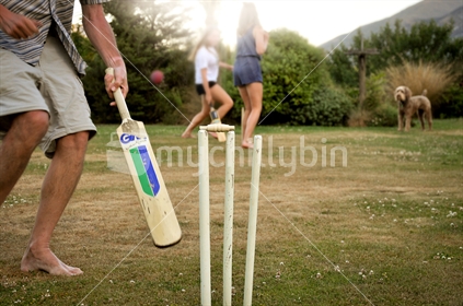Back yard cricket at dusk (selective focus and some motion blur)