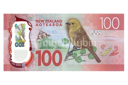 New New Zealand one hundred dollar note - back. Featuring Mohua. (Shot at the same relative scale as other notes from photographers series) Note: Please view approved reproduction details of NZ banknote full images at: http://www.rbnz.govt.nz/notes-and-coins/issuing-or-reproducing
