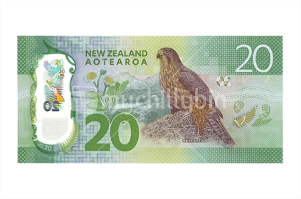 New New Zealand twenty dollar note - back. Featuring Karearea. (Shot at the same relative scale as other notes from photographers series) Note: Please view approved reproduction details of NZ banknote full images at: http://www.rbnz.govt.nz/notes-and-coins/issuing-or-reproducing