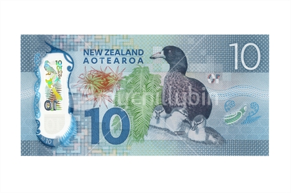 New New Zealand ten dollar note - back. Featuring Whio. (Shot at the same relative scale as other notes from photographer's series) Note: Please view approved reproduction details of NZ banknote full images at: http://www.rbnz.govt.nz/notes-and-coins/issuing-or-reproducing