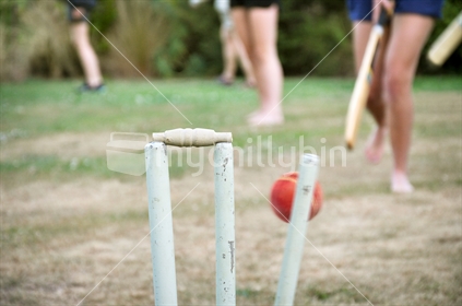 Back Yard Cricket (selective focus and motion blur)