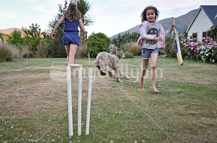 Back Yard Cricket (selective focus and motion blur)