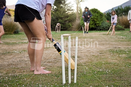 Back yard cricket at dusk (selective focus and some motion blur) 