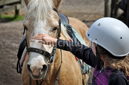 Girl patting a horse.
