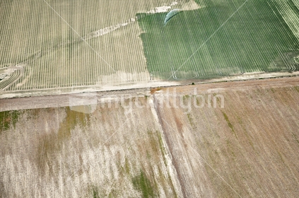 Aerial view of an Irrigated field (selective focus) See also Image #100468_801