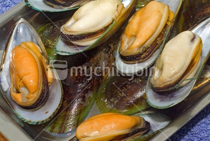 Green lipped mussels