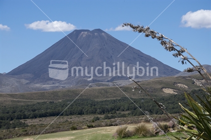 Mount Ngauruhoe, from Mount Ruapehu