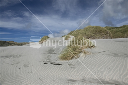 Sand Dunes South Island