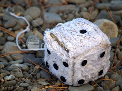 Abandoned fluffy dice
