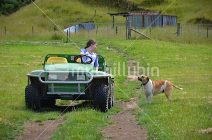 Young woman stopping for farm dog.
